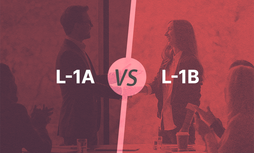 Article: L-1A Visa vs L-1B Visa: Fundamental Differences
