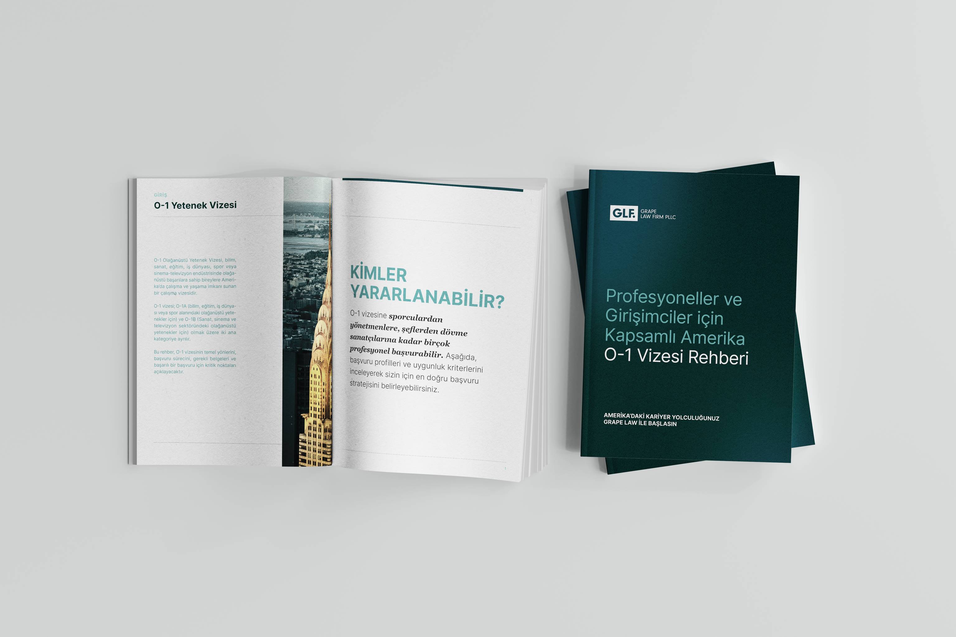 Profesyoneller ve Girişimciler için O-1 Vizesi Rehberi Kapak Fotoğrafı