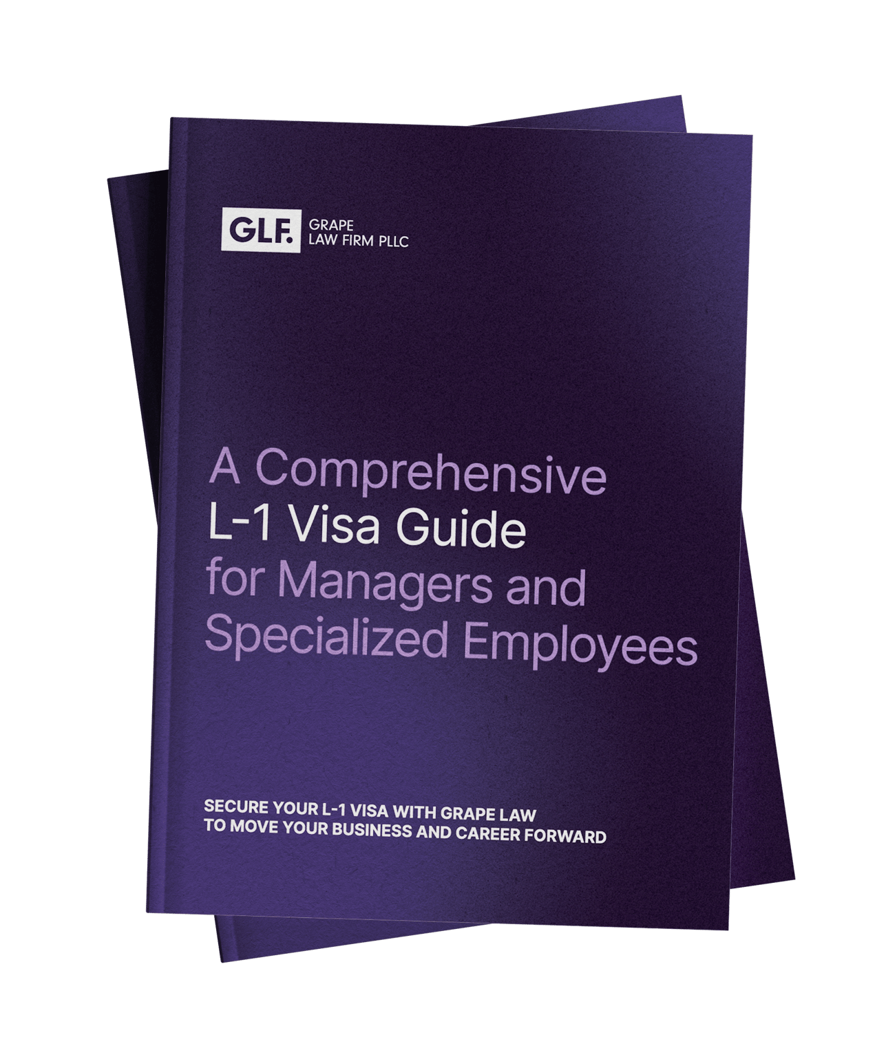 U.S. L-1 Visa Guide for Companies