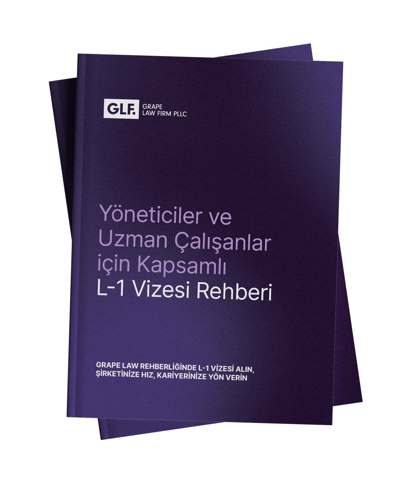 Yöneticiler ve Uzman Çalışanlar için L-1 Vizesi Rehberi