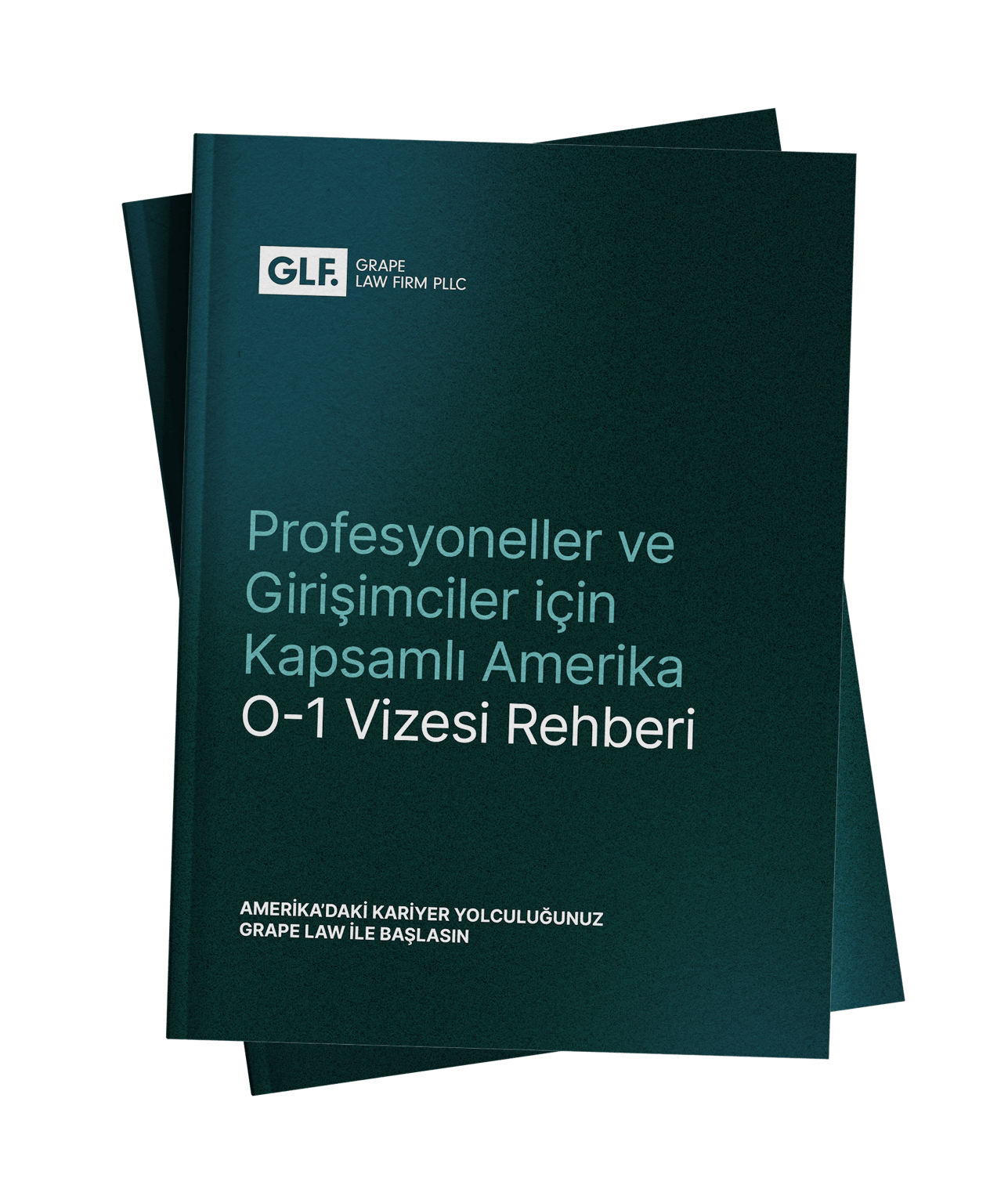 Profesyoneller ve Girişimciler için O-1 Vizesi Rehberi Kapak Fotoğrafı