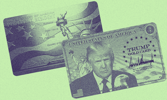 Trump'ın Gold Card'ı.