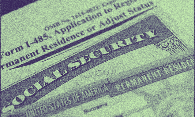 green card çeşitleri