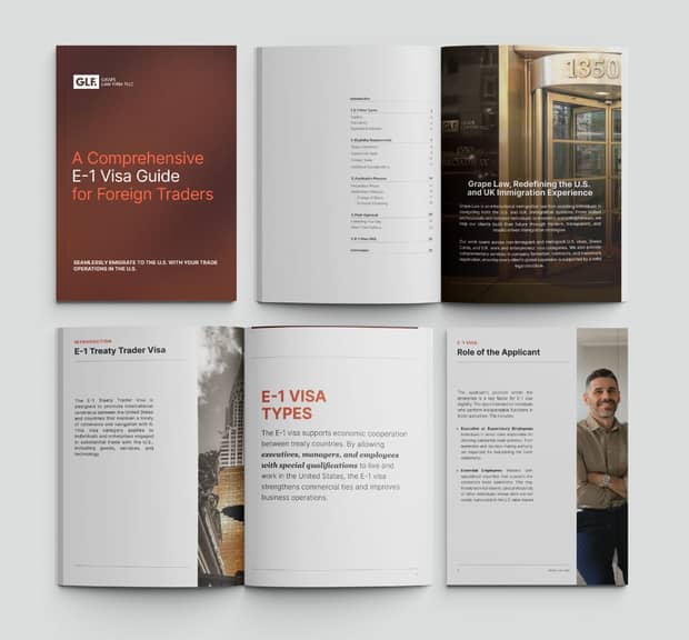 A Comprehensive E-1 Visa Guide for Foreign Traders