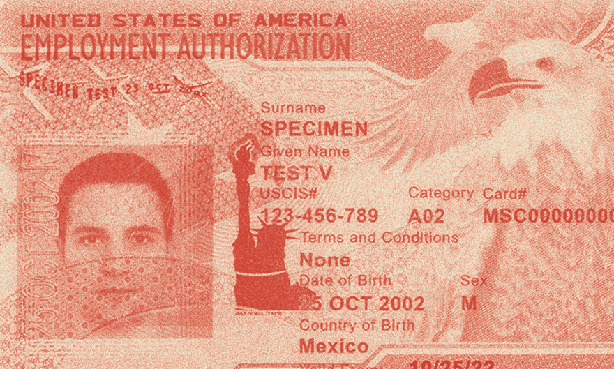 a photo of an actual employment authorization card document